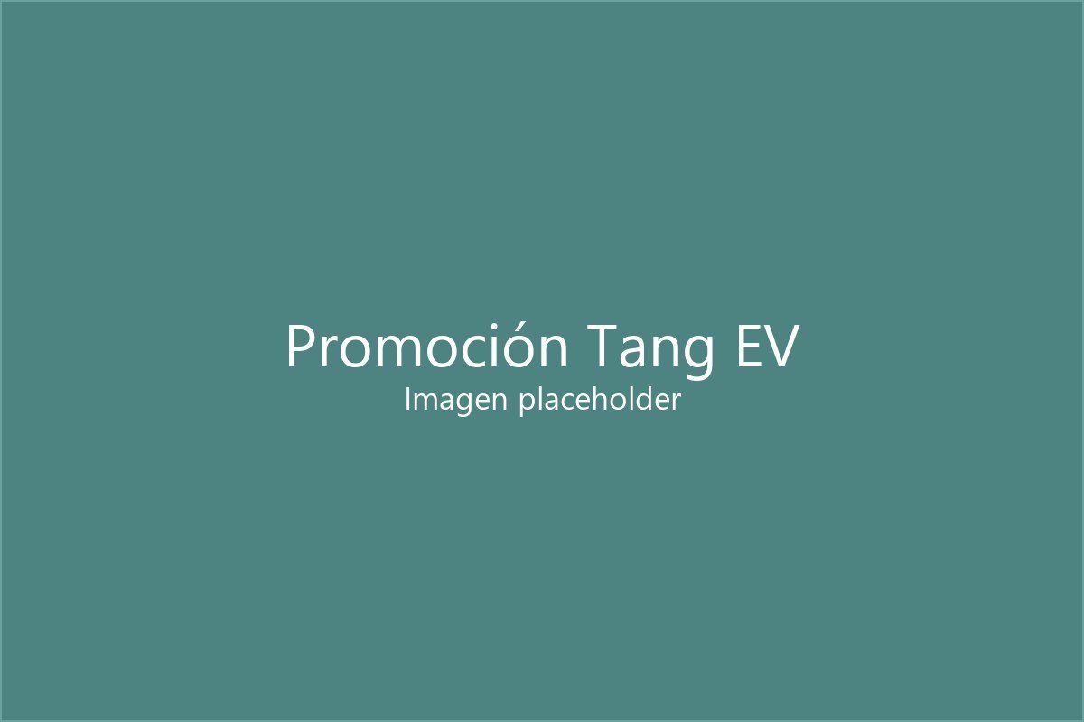 Promoción Tang EV