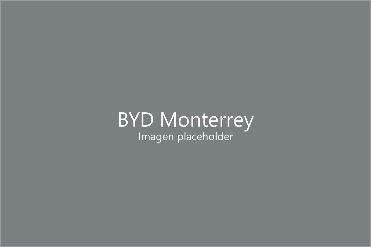 BYD Monterrey Valle